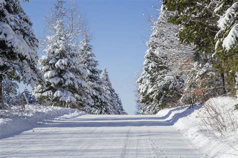 Winter Country Road Stock Image Image Of January Background 48332105
