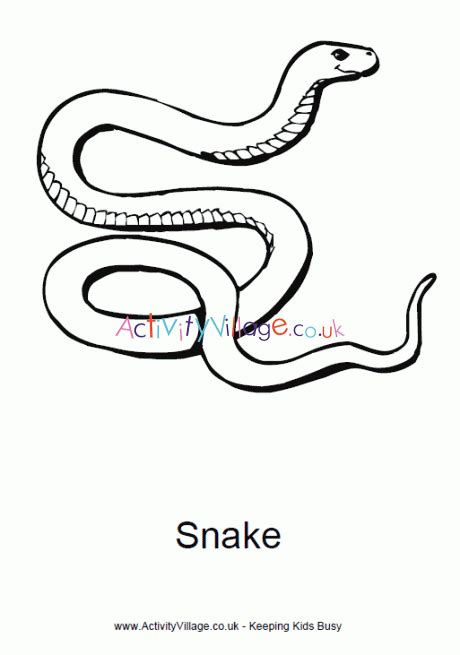 Select from 35653 printable crafts of cartoons, nature, animals, bible and many more. Snake Colouring Page 2