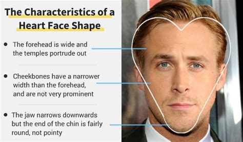 Heart Face Shape Pick The Best Beard For It Definitive Guide 2023
