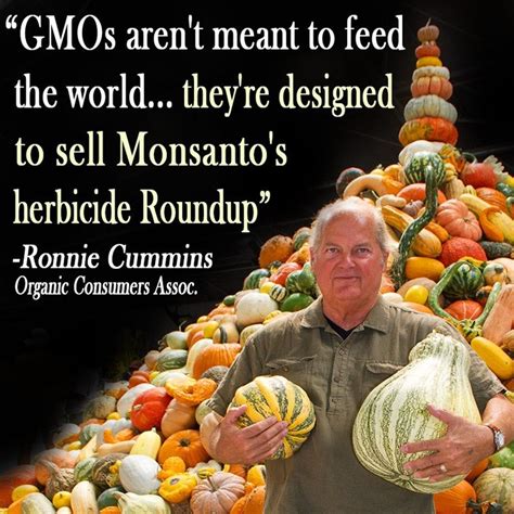Gmos Arent Meant To Feed The Worldtheyre Designed To Sell Monsanto