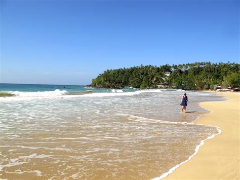 Mirissa Beach In Sri Lanka Is The Perfect Paradise For A Beach Lover