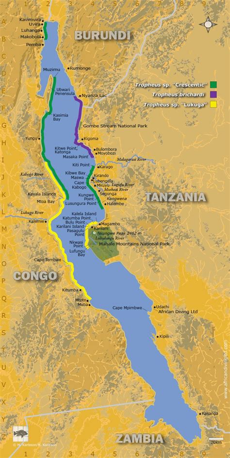 Lake tanganyika 1, second largest lake of africa, c.12,700 sq mi (32,890 sq km), e central africa on the borders of tanzania, congo (kinshasa), zambia, and burundi. Lake Tanganyika Africa Map Pictures to Pin on Pinterest - PinsDaddy