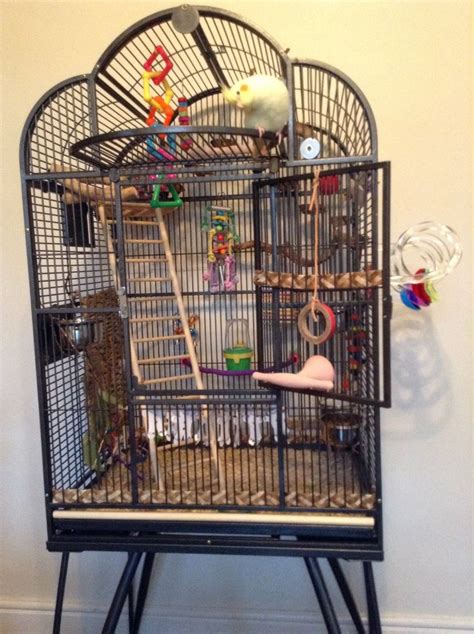 Budgie Cage Parakeet Cage Parrot Cage Diy Bird Cage Bird Cage