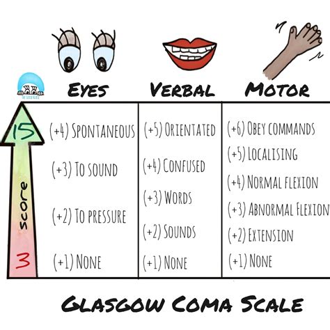The glasgow coma scale chart is used to assess chronic patients in intensive care. Glasgow coma scale, are you ok? - The Scrub Nurse
