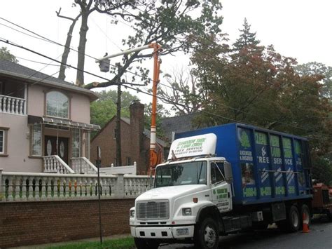 Saint Albans Ny Tree Services Clearview Tree And Land