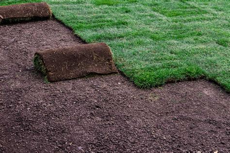 How much does zoysia grass cost per square foot. Average Cost Of Sod Per Sq Ft | MyCoffeepot.Org