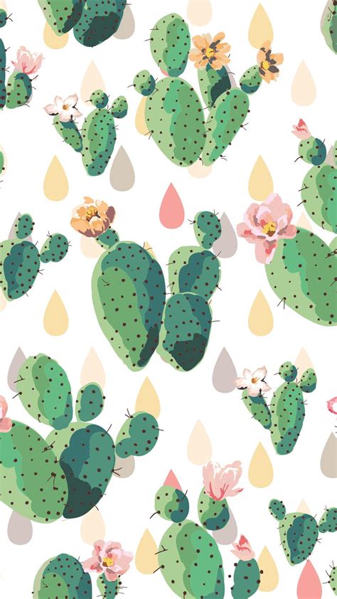 Cactus Wallpapers Wallpaper Cave