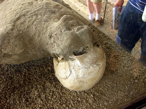 Pompeii Petrified Body Flickr Photo Sharing