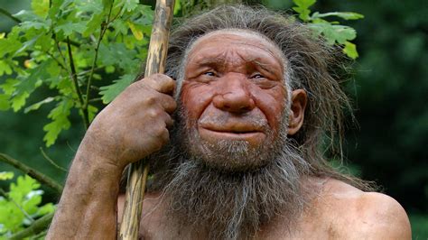 Neandertaler Warum Starben Die Neandertaler Aus Urzeit Geschichte