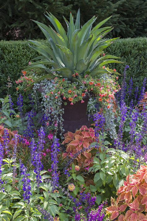 Large Tropical Planter With Colorful Flower Tropical Planter Flowers
