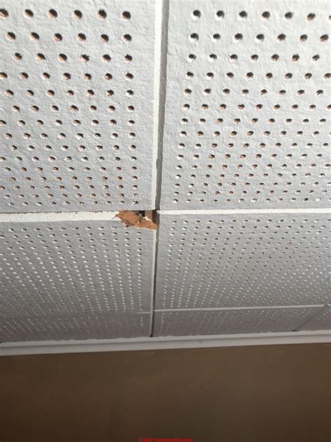 Pros And Cons Of Ceiling Tiles