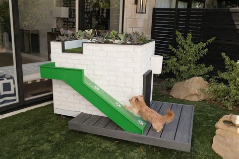 Modern Doghouses By Pijuan Design Works And Alison Victoria Dwell
