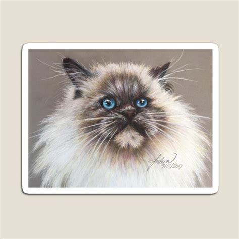 Himalayan Cat Ts And Merchandise Redbubble