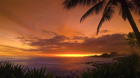 Tropical Sunset Wallpaper Landscape Nature Wallpapers In  Format For