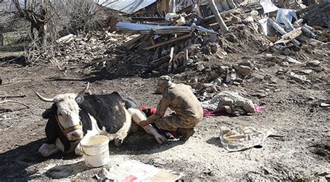 Deprem adıyaman, adana, batman, bingöl, çorum, diyarbakır, gaziantep, hatay, kahramanmaraş, malatya, mardin, osmaniye, samsun, sivas, siirt, şanlıurfa elazığ depremi ile ilgili fotoğraflar. Elazığ Deprem Köy Evleri Projesi - Ilk Ornek Ev Teslim ...