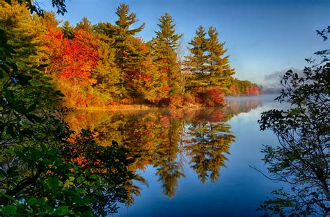 Autumn Trees Reflected In The Lake Hd Wallpaper Background Image