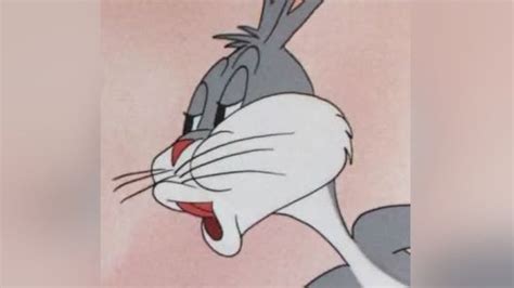 Generally, this is used as a reaction image or to reference various different things. Bugs Bunny's "No" (With images) | Bunny meme, Dungeons and ...