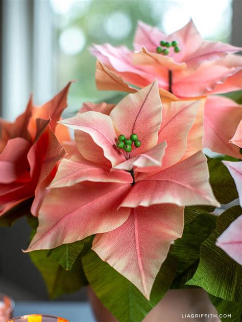 Pink Crepe Paper Poinsettia Plants For The Holidays Lia Griffith