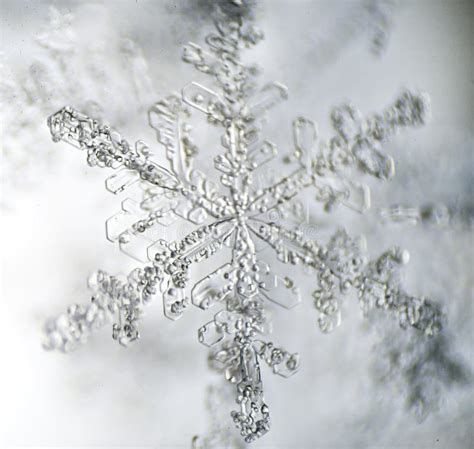 Microscopic Snowflake Stock Image Image Of Crystal Snow 4245029