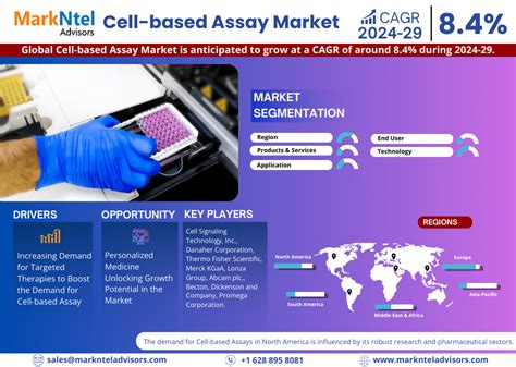 Infographics Cell Based Assay Market Size Share And Revenue Forecast 2029