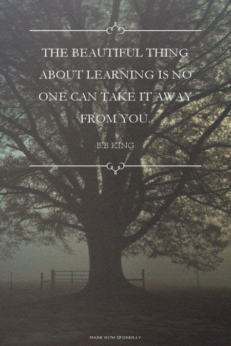 The Beautiful Thing About Learning Is No One Can Take It Away From You