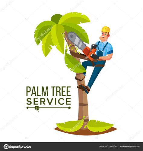 Palm Tree Service Vector Professional Man Trimming Tree Or Removal To