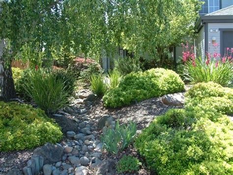 Dry Creek Beds And Perennials Dry Creek Bed Backyard Landscaping