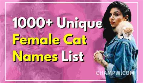 1000 Unique Female Cat Names List In 2022