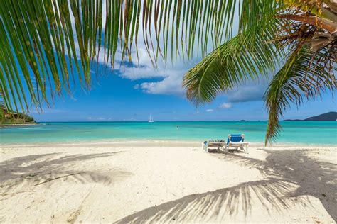 tropics, Coast, Branches, Beach, Nature Wallpapers HD / Desktop and ...