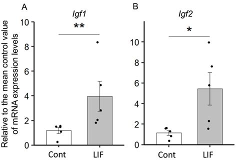 Ijms Free Full Text Lifigf Axis Contributes To The Proliferation