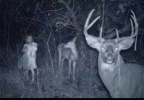 Real Or Fake Hunter S Trail Cam Captures Bizarre Image But We Solved