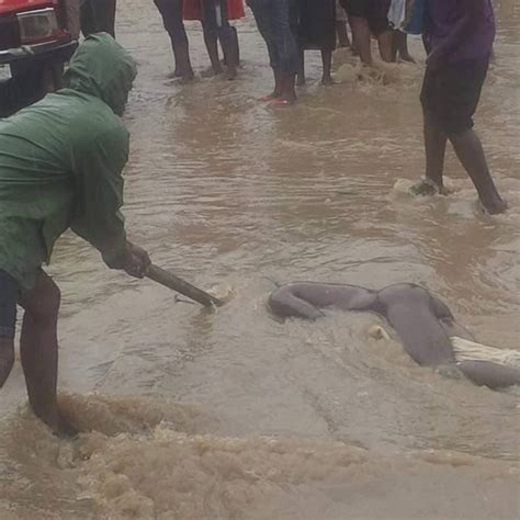 Dead Body Of A Man Found Floating On Flood Water At Ariara Market Aba Steadygist
