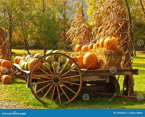 Autumn Harvest Stock Photo Image Of Fall Pumpkins Cart 27092816