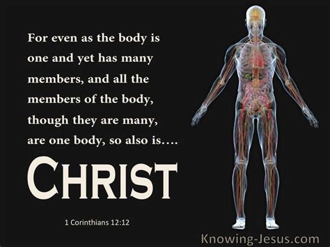 59 Bible Verses About The Body