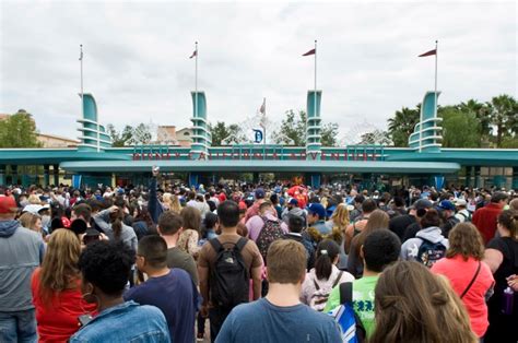 Disneyland Considers Dedicated Entrance For Annual