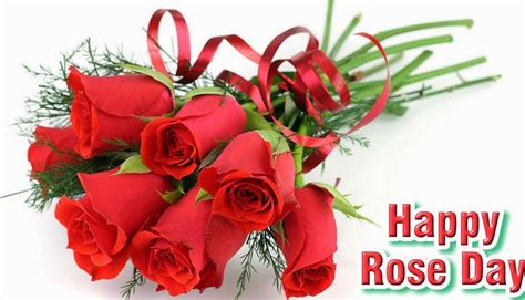Happy rose day images, greetings, wallpaper, picture, photos, card. Rose Day 2014 Very Funny Jokes, SMS, Messages in Hindi For ...