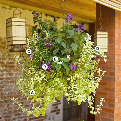 Lopkey artificial morning glory plant artificial hanging basket flowers silk flower hanging planter outdoor garden decoration,blue. Trailing Plants Or Hanging Baskets in 2020 | Hanging ...