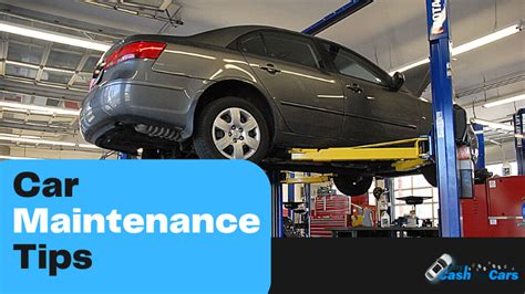 Car Maintenance Tips For A Longer Life Of Your Car Any Cash For Cars