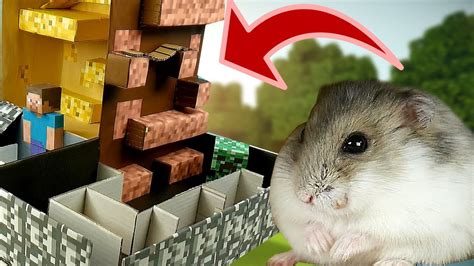 Minecraft ⚒️ Hamster In The Maze 🐹 Hamster Race Youtube