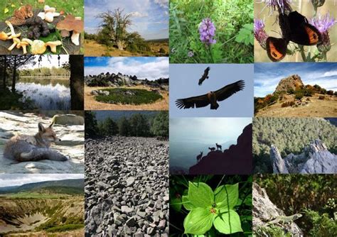 top 128 areas protegidas de flora y fauna anmb mx