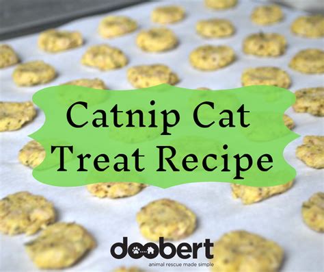 Catnip Cat Treats Recipe