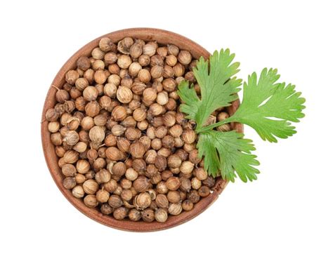 Coriander Seed And Leaves Isolated On White Background Top View Stock