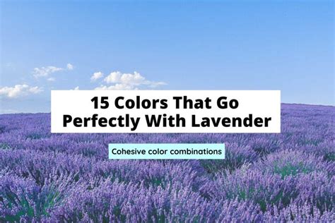15 Colors That Go Perfectly With Lavender Craftsonfire
