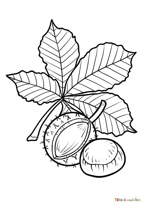Par exemple, le sujet de cet arbre est thierry trudel. Coloriage feuilles d'arbres #06 : un dessin à imprimer avec Tête à modeler