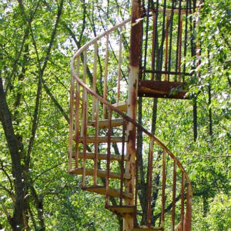 Albums 95 Images Staircases In The Middle Of The Woods Updated