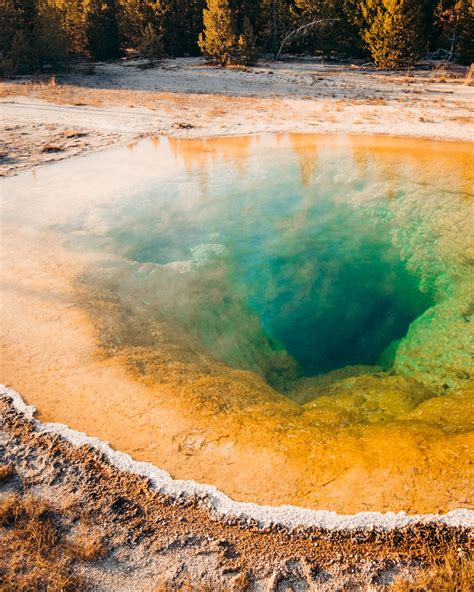 Things To Do In Yellowstone National Park What To Know Before You Go