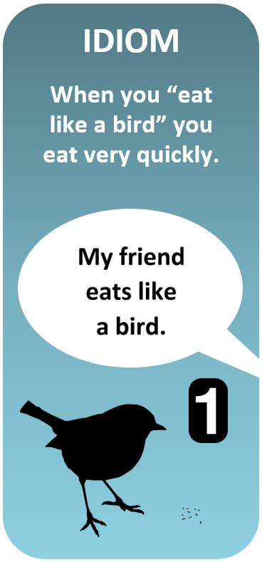 Bird Expressions Sayings