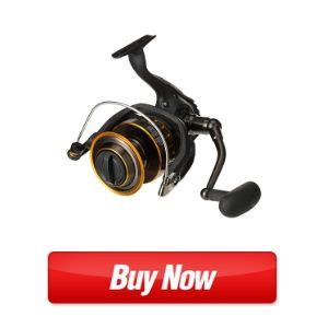 Daiwa BG 2500 Review Best Inshore Saltwater Spinning Reel For The Money