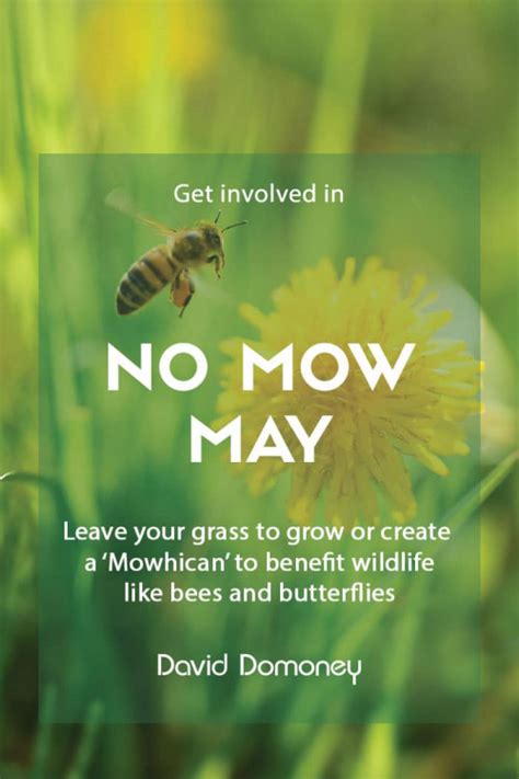 Take Part In No Mow May To Help Garden Wildlife David Domoney