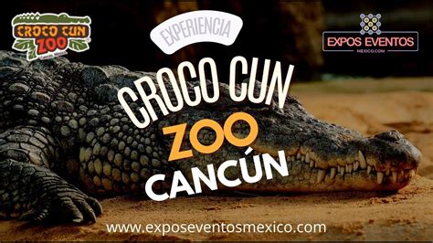 Croco Cun Zoo Cancún México Crococun Zoo Interactivo Quintana Roo